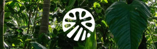 Paris-based Equitable Earth raises €12.6 million to become the global standard for nature-based carbon projects