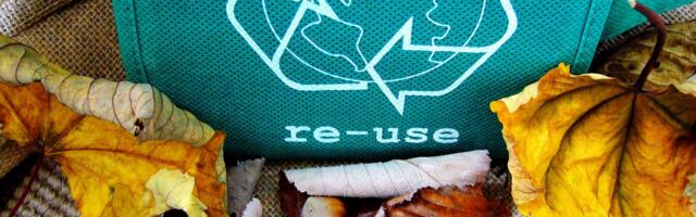 Recycling tips to make your household more eco-friendly