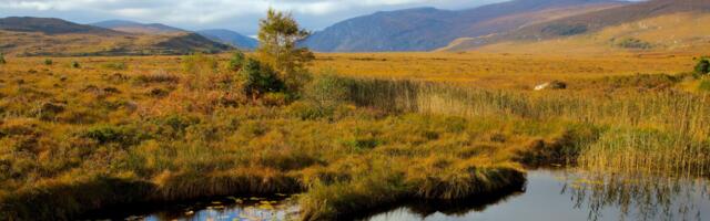 New Peatland Standard accelerates restoration and boosts Ireland’s climate resilience