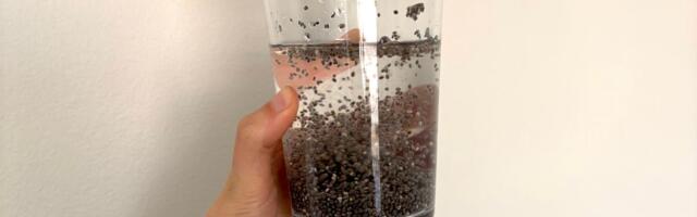 Chia Seed Water: Benefits, Drawbacks and How to Make It
