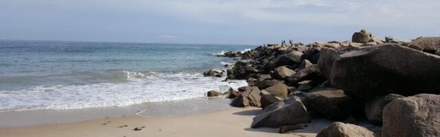 I live in Rhode Island. My favorite town to visit in the summer has great seafood, quiet beaches, and a bamboo forest.