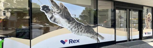 Trans-FUR-ming a visit to the vet: Rex's journey to unleash a better user experience