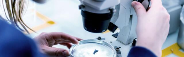 Paris-based Innovafeed secures €51 million to scale sustainable insect-based ingredients for animal and plant nutrition