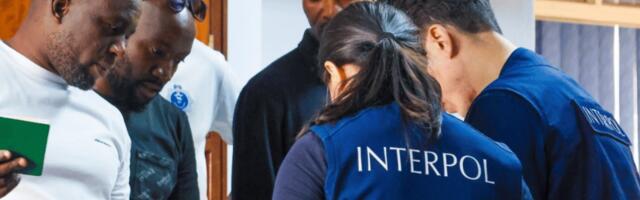 Interpol global crackdown targets online gambling scams and cybercrime