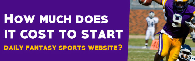 Team and cost to develop a fantasy sports app like Fanduel