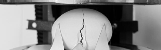The Best Way to Drop an Egg Without Breaking It, According to Science