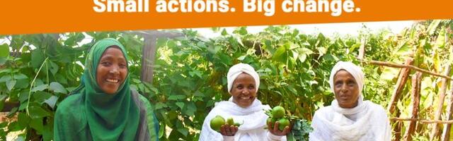 ZiMad launches World Hunger Day event in its flagship games