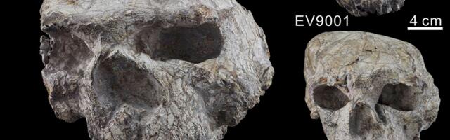 Сколько раз люди покидали Африку: новые удивительные находки