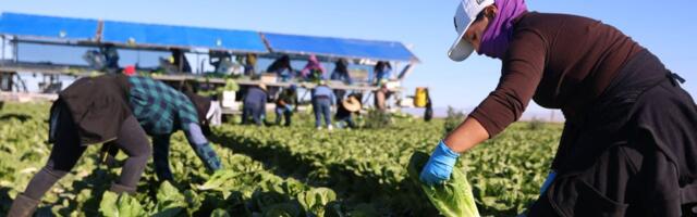 Abcarian: Trump’s deportations threaten California economy built on hypocrisy