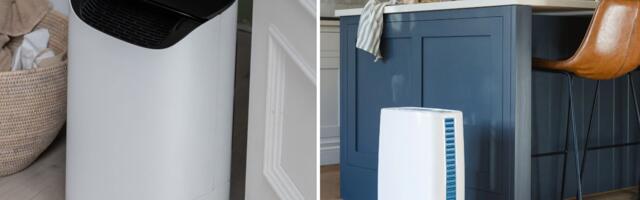 Desiccant vs compressor dehumidifier: 3 key differences you need to know