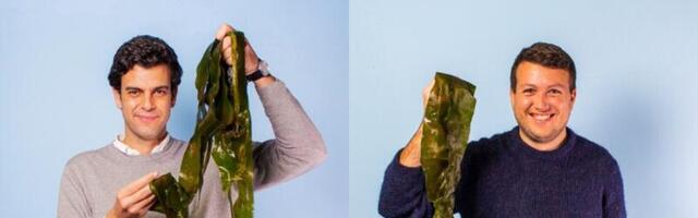 Plastic packaging regulation is coming — here are the startups set to benefit 