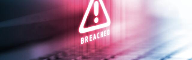 100,000 Torrent Site Users Exposed in Massive Data Breach