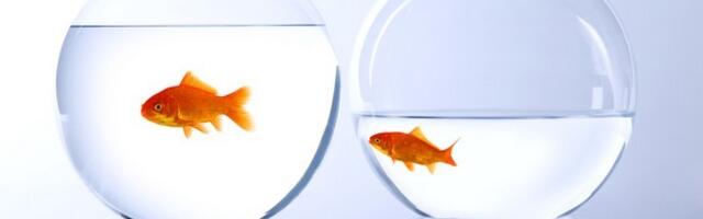 Большой куш Сбера – громкие заголовки на чужом коде