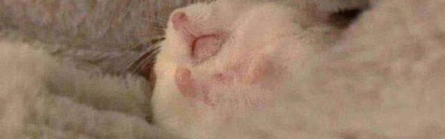 От «Мистера Робота» до «Разделения»: подборка сериалов на новогодние каникулы, чтобы отвлечься от бэклога