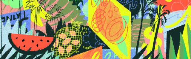 Vox’s Florida Project