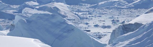 The real danger of Trump’s Greenland gambit