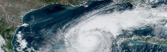 Online experts you can trust for Hurricane Milton info