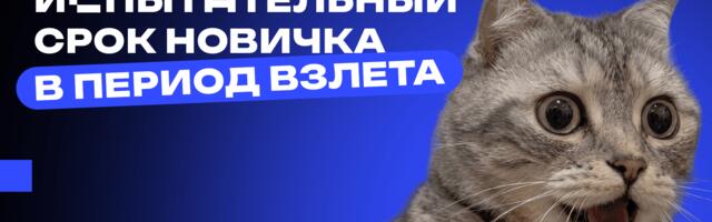 Менторство новичка в ИТ: как превратить испытательный срок в период взлета?