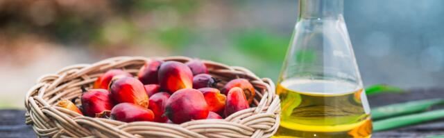 Clean Food Group raises £1.65m for palm oil lab alternative