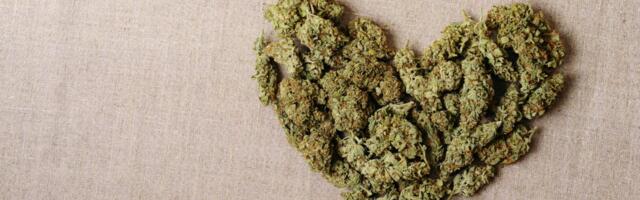 Doctors Blame Cannabis for Healthy Woman’s Sudden Cardiac Arrest