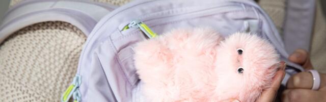 The lonely promise of cute robots