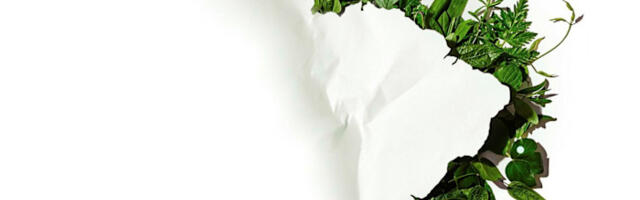 The Americas’ Fastest-Growing Companies