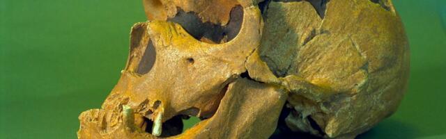 Using AI, scientists bring Neanderthal antibiotics back from extinction