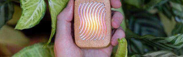 Unbeleafable: These Are the 12 Best Tech Gifts for Plant Lovers