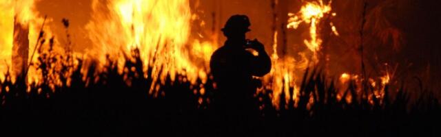 Early Wildfires Are Surging Across the US—and Trump’s New Fire Agency Isn’t Ready