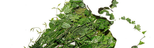 How The Americas’ Fastest-Growing Companies find a way to thrive