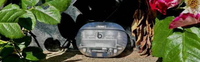 Beats Studio Buds get a critical fix for a creepy microphone flaw