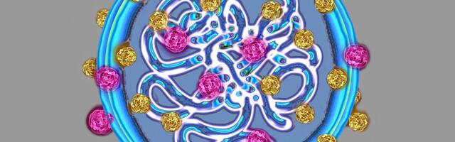 The FDA approves a breakthrough vaccine 50 years in the making