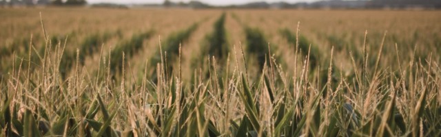 Provision extends food tech software reach through acquisition of Crop Boss