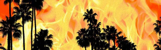Accidental wildfire alerts prompt probe from Congress