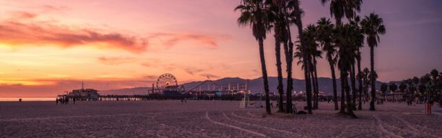 Summer Is Coming. I Let AI Fill My Calendar With Fitness, Fun and Music