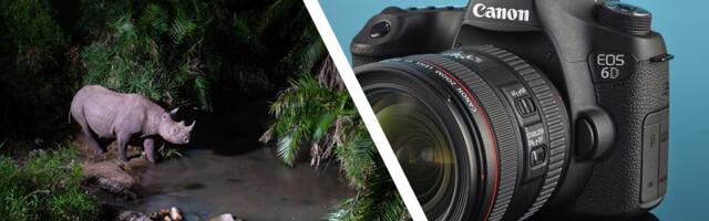 'I snap them up' — award-winning wildlife photographer explains why he collects second-hand DSLRs for his unique 'Camtraptions' devices, and why they are a better choice over modern mirrorless cameras