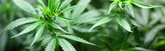 H|T: The Healthtech Times – A budding industry