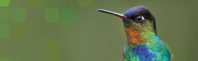 Natural Photonics and Bioinspiration, Artech House, reviewed