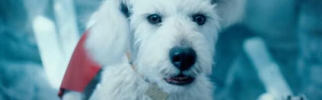 Krypto steals the show (again) in Superman trailer