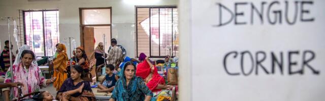 The biggest mosquito-borne disease in the world has a cure. There’s just one problem