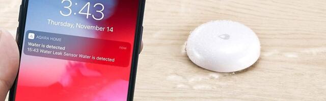 The Best Leak Detectors of 2026: Stop Water Damage in Its Tracks