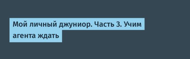 Мой личный джуниор. Часть 3. Учим агента ждать