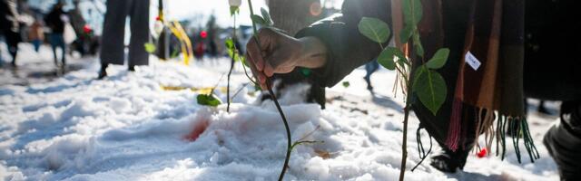 Why ICE Can Kill With Impunity