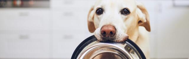 Raw pet food: On the menu?