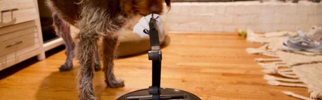 I tested a robot vacuum with an arm, and my dog may never forgive me