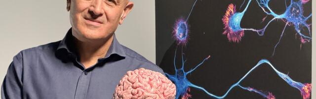 How to watch Secrets of the Brain on BBC iPlayer — it's *FREE*