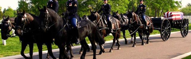 Inside the Army's $30 million effort to revamp its funeral horse program after a series of horse deaths