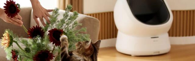 How Petlibro is using AI to catch feline health issues early