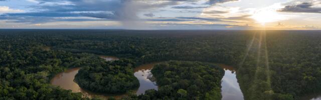 Cerulean backs GreenTrade to offer carbon credits for forest conservation and ocean restoration