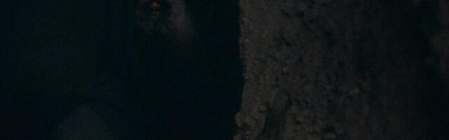 One of ‘Star Wars’ Biggest Recent Reveals Was Inspired by ‘Lord of the Rings’